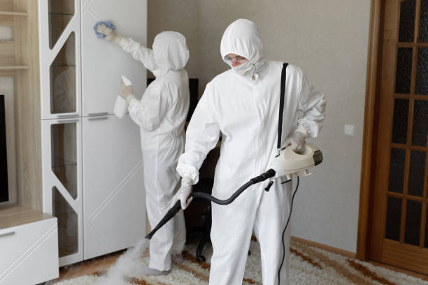 Certified Mold Removal in Cutten, CA