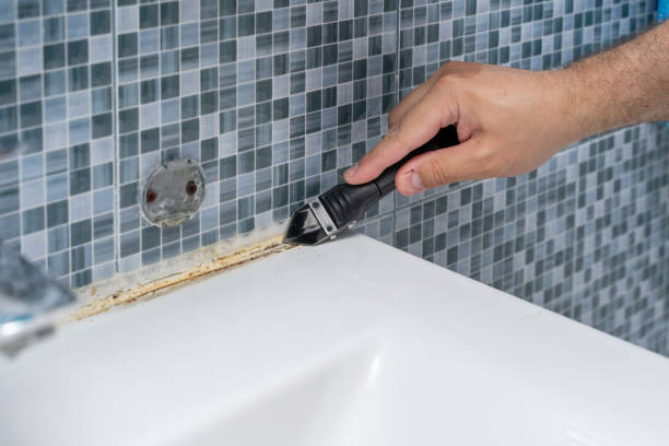 Best Professional Mold Removal  in Cutten, CA