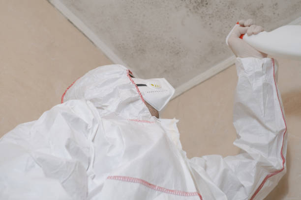 Best Crawl Space Mold Removal  in Cutten, CA